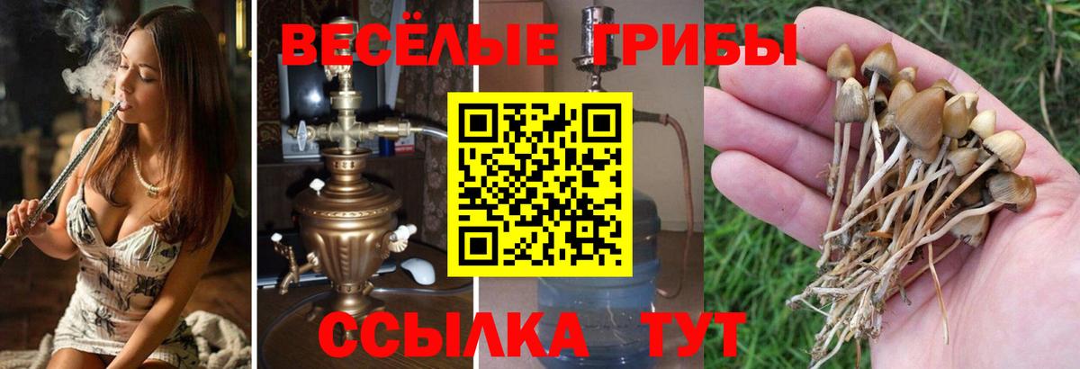 Джанкой  даркнет сайт  Вход с VPN  Псилоцибиновые грибы MAGIC MUSHROOMS 